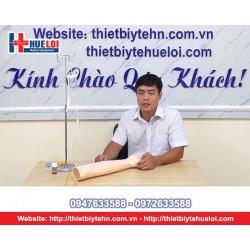 MÔ HÌNH TIÊM TRUYỀN TĨNH MẠCH CÁNH TAY